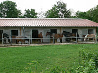 Paddocks